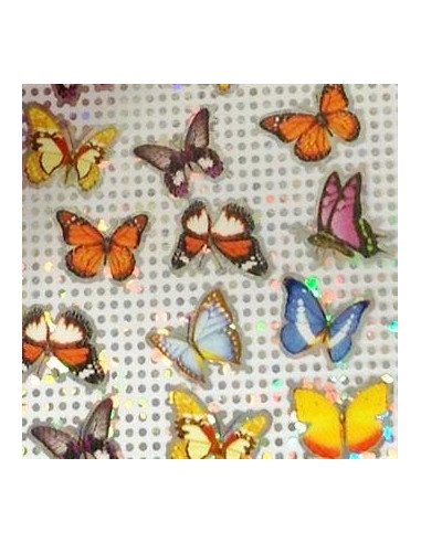 DM- Folie 67 Butterfly