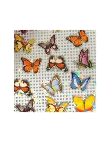 DM- Folie 67 Butterfly